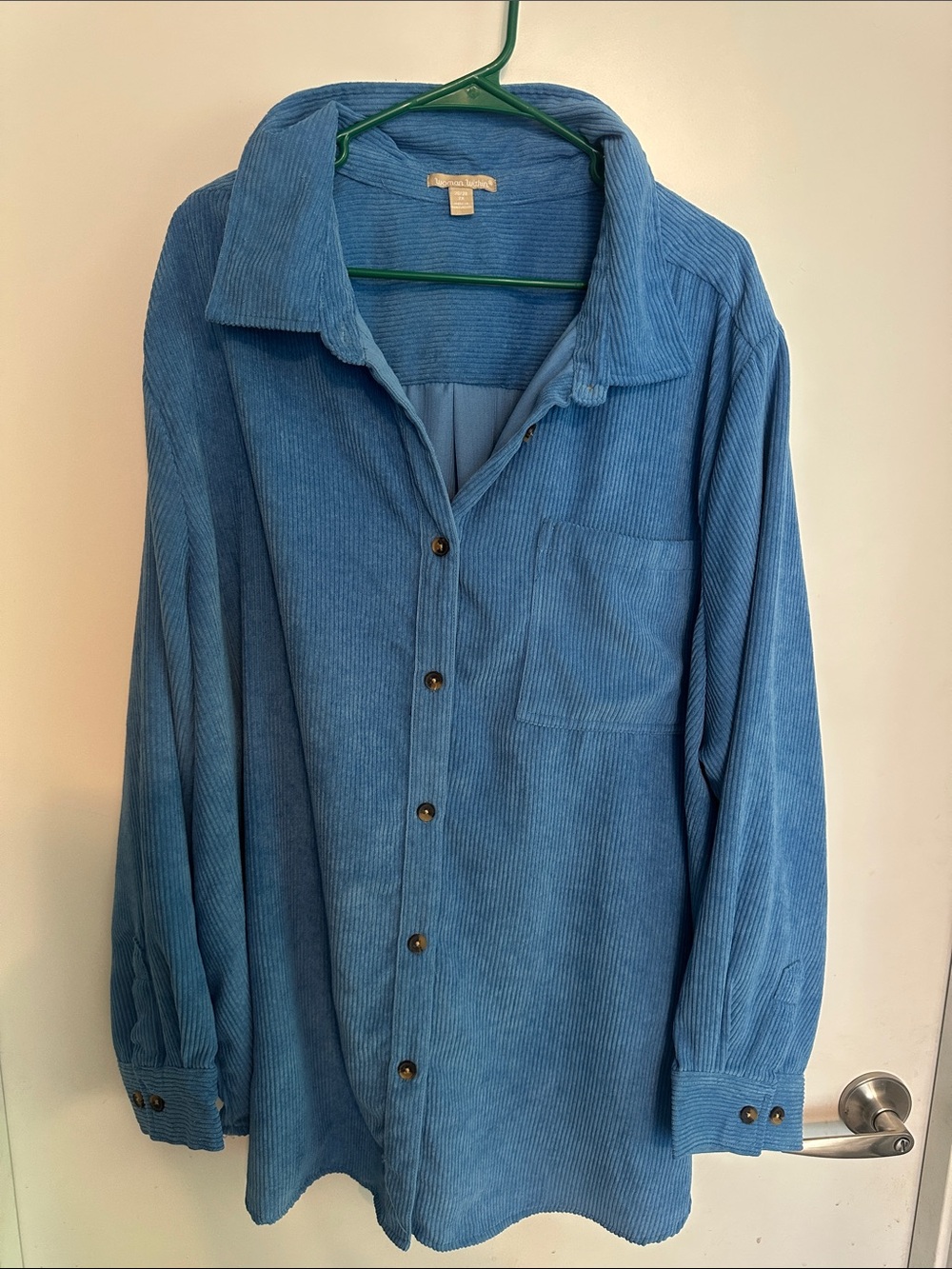 Woman Within Light Blue Ribbed Shirt